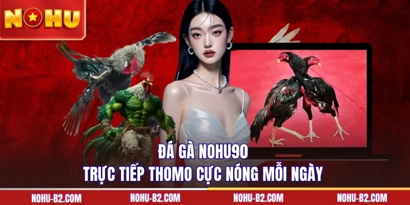 Đá gà NOHU90 trực tiếp Thomo cực nóng mỗi ngày 